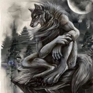 Meet your Posher, Aja